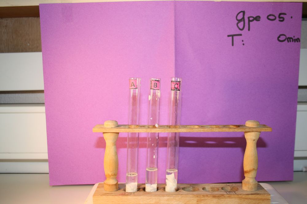 gal/LES_CINQUIEMES/ACTIVITE DIGESTION IN VITRO/Groupe_05/Groupe05_T_00h00min/Groupe05_T_00h_00min_1.JPG